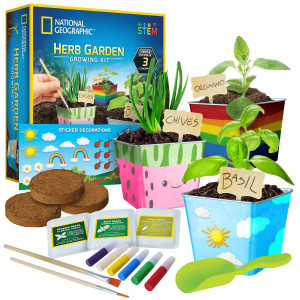 National Geographic Herb Growing Kit For Kids Decorate 3 Pots With Paint And Stickers Kids Gardening Set Arts And Crafts For