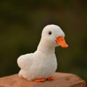 Tammyflyfly Yellow Chick Stuffed Animal Chicken White 5 Inches 12Cm Plush Toy Duck Soft Toy White Duck