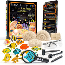 Gobidex Ocean Fish Dig Kit, Excavate 12 Sea Life Fish Toys, Science Kits For Kids Age 6-8-12, Stem Education Science Activities Toys, Great Gift For Boys & Girls Age 6+