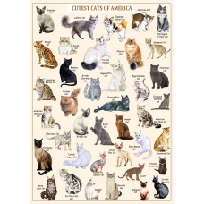 Cat Puzzles For Adults 1000 Pieces And Up Vintage Kitty Puzzles For Adults Animal Feline Jigsaw Puzzle Kittens