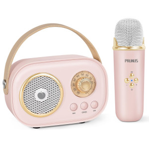 Mini Karaoke Machine For Kidsadults Portable Bluetooth Speaker With 2 Wireless Microphones And Stereo Sound Enhanced Bass Gifts