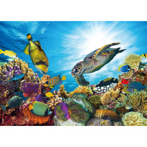 Beduke Jigsaw Puzzles For Adults 1000 Pieces Ocean Animals Thick Sturdy Cardboard Precise Interlocking 1000 Piece Puzzle Age 14