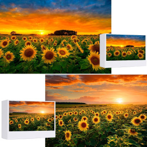 1000 Pieces For Spring Jigsaw Puzzles 2 Pack Sunflowers Nature Landscape Flowers Puzzles For Adults Colorful Plants Challengin