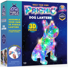 Purple Ladybug Prismic 3D Puzzle Dog Lantern Gifts For 1016 Year Old Girls And Boys Arts And Crafts Teen Girl Gifts Trendy