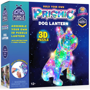 Purple Ladybug Prismic 3D Puzzle Dog Lantern Gifts For 1016 Year Old Girls And Boys Arts And Crafts Teen Girl Gifts Trendy