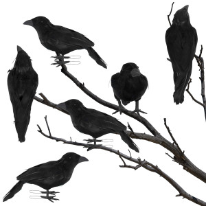 Atdawn 6 Pack Halloween Birds Black Feathered Crows Realistic Looking Halloween Birds Decoration Birds 79